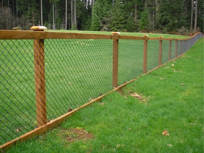 Chain Link Fence